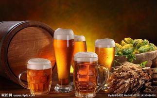 電子產品、化妝品、日用品進口香港代理與深圳物流清關運輸指南